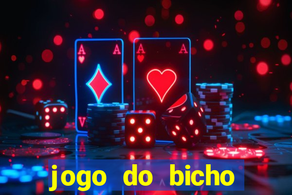 jogo do bicho crash bingo